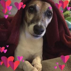 Meet your Posher, Michele